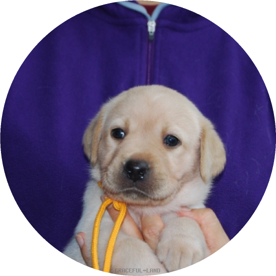 女の子(オレンジ母マリー)(A child of & マリー) 女の子(オレンジ母マリー)